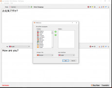 Ace Translator screenshot 3