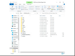 Boot-Repair-Disk - main-folder