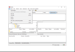 FileZilla - file-menu