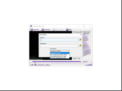 Free FLV Player - converter-types