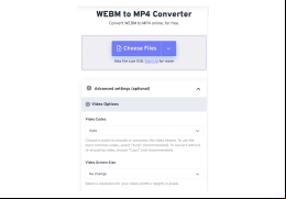 Free WebM to MP4 Converter - main-screen