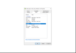 Media Player Codec Pack - details