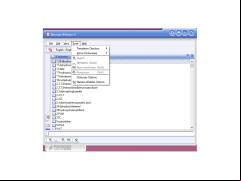 Merriam-Webster Medical dictionary - tools-menu