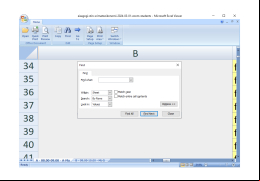 Microsoft Office Excel Viewer - find-options