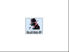 Real Hide IP - logo