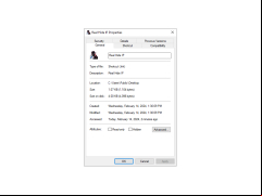 Real Hide IP - properties
