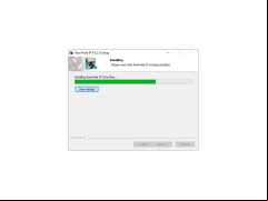 Real Hide IP - install