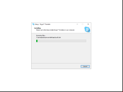 Skype Portable - install
