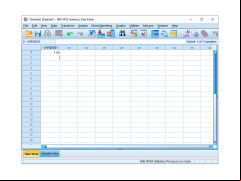 SPSS - var-example