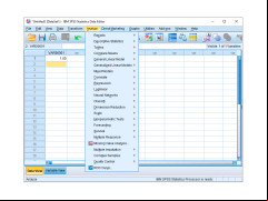 SPSS - analyze