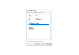Terminal Font - details