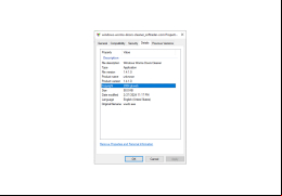 Windows Worms Doors Cleaner - details