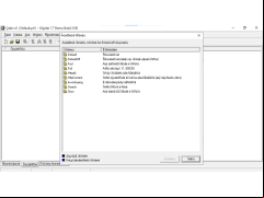 XSpider - settings